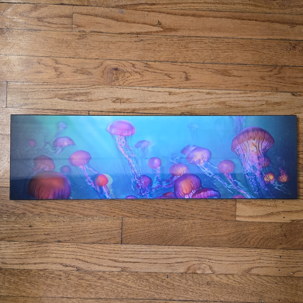 Hobby Lobby Open Road Jellyfish Wall Art